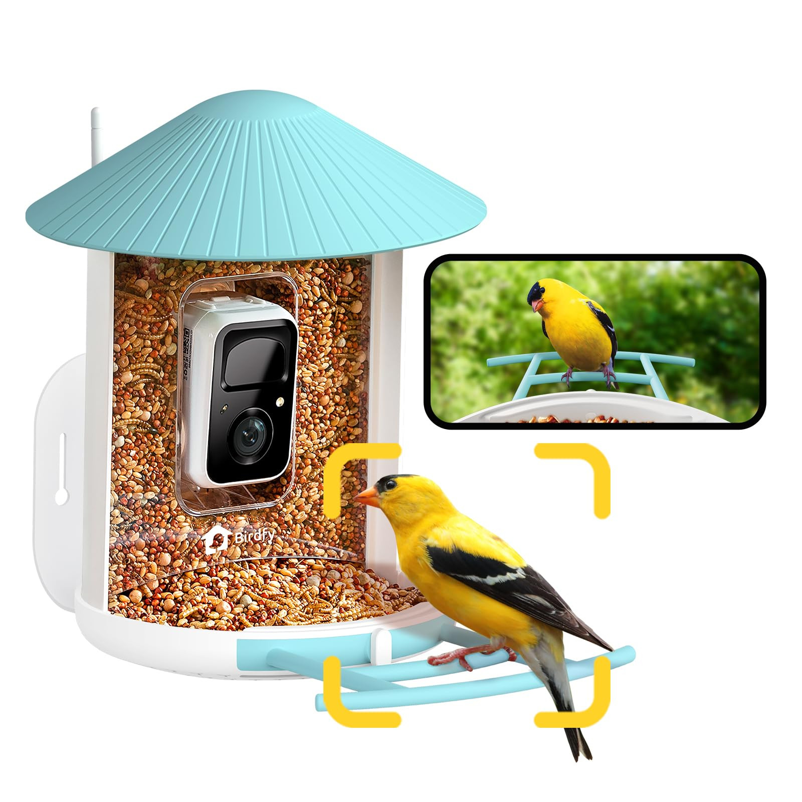 NETVUE by Birdfy AI Smart Bird Feeder with Camera, AI Auto Capture Each Bird Come & Identify 6000... | Amazon (US)