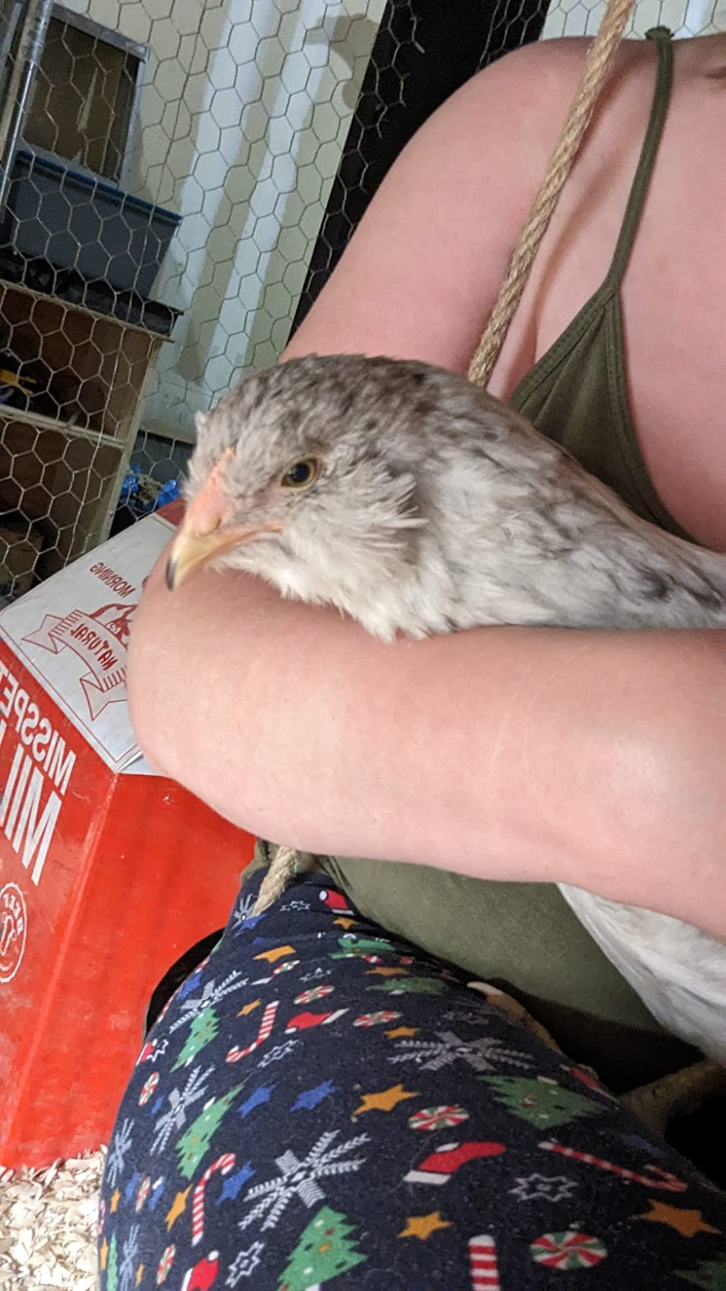 ScratchMe Cat Condo Scratcher Post Cardboard, Milk Box Shape Cat Scratching House Bed, Black Colo... | Amazon (CA)