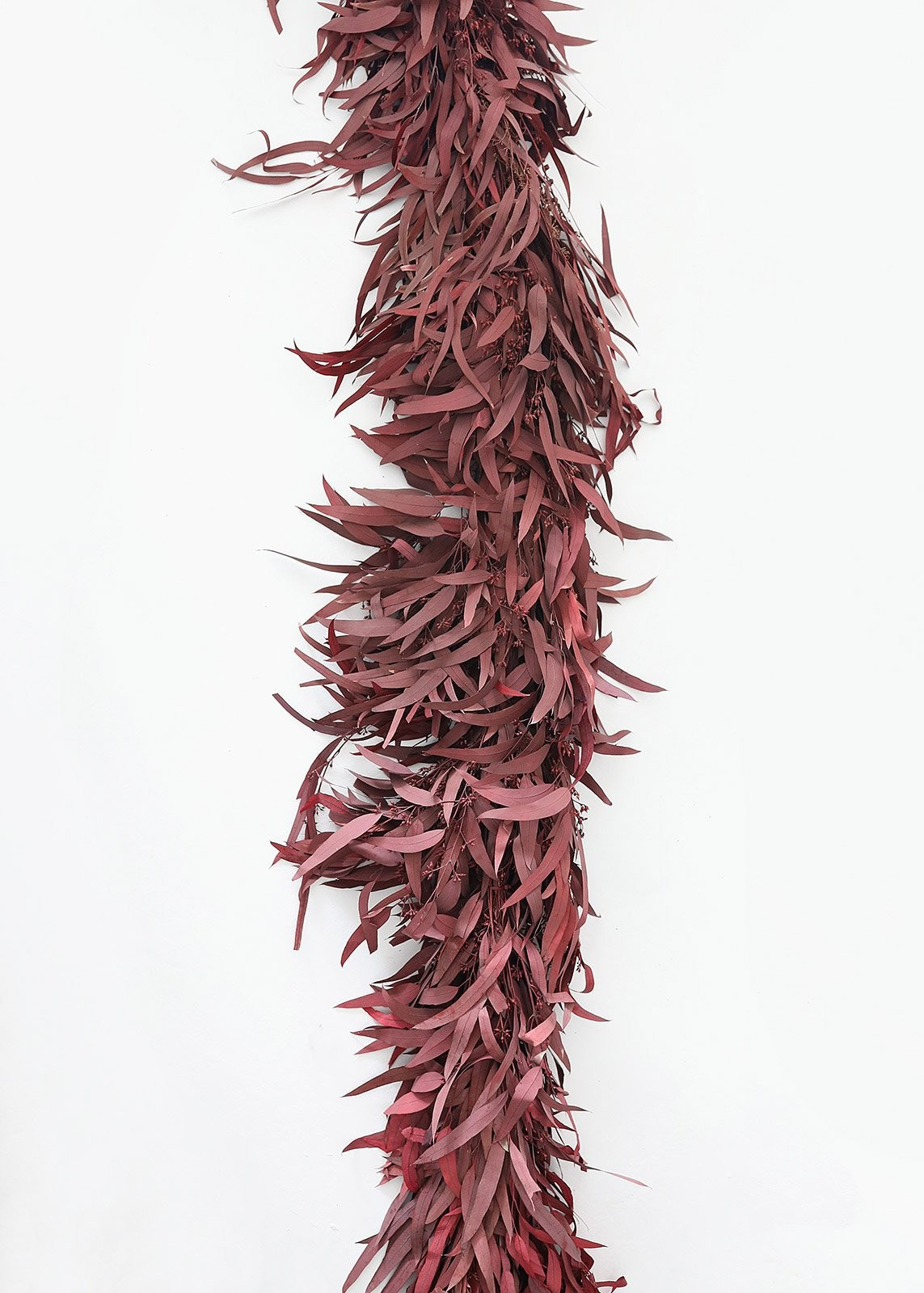 Burgundy Preserved Seeded Eucalyptus Garland - 76" | Afloral (US)