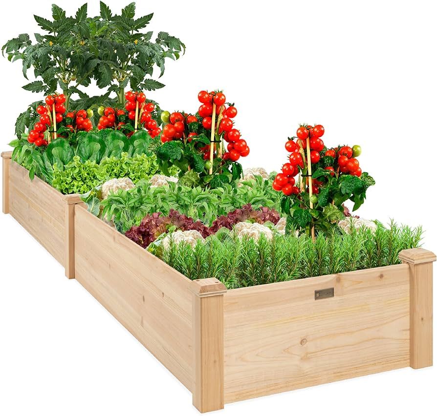 Best Choice Products 8x2ft Outdoor Wooden Raised Garden Bed Planter for Vegetables, Grass, Lawn, ... | Amazon (US)