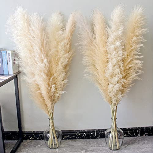 46" inch 10 Stems Natural Pampas Grass Decor Tall, Pompas Grass, Tall Pampas Grass for Weddingm, Farmhouse, Boho Home Decor (Ivory) | Amazon (US)