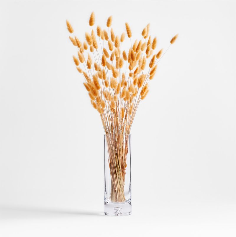 Camel Lagarus Dried Bunny Tail Bunch + Reviews | Crate & Barrel | Crate & Barrel