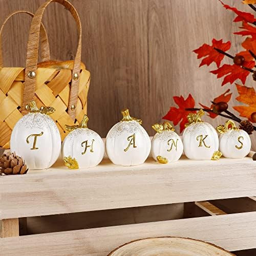 winemana Thanksgiving Pumpkins Set of 6, Fall Decor Resin Pumpkin, Thanks Tabletop Centerpieces Tier | Amazon (US)