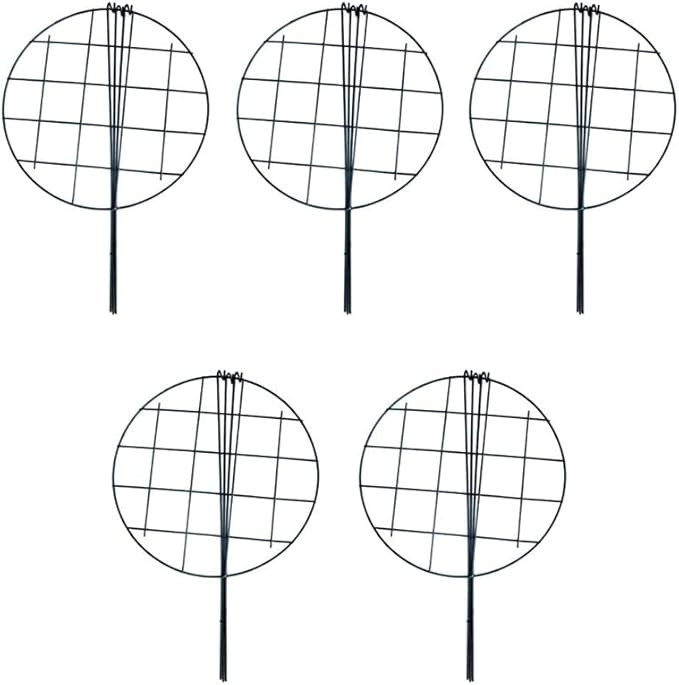 MTB 16 x 24 inch Grow Through Plant Support, Pack of 5 | Amazon (US)