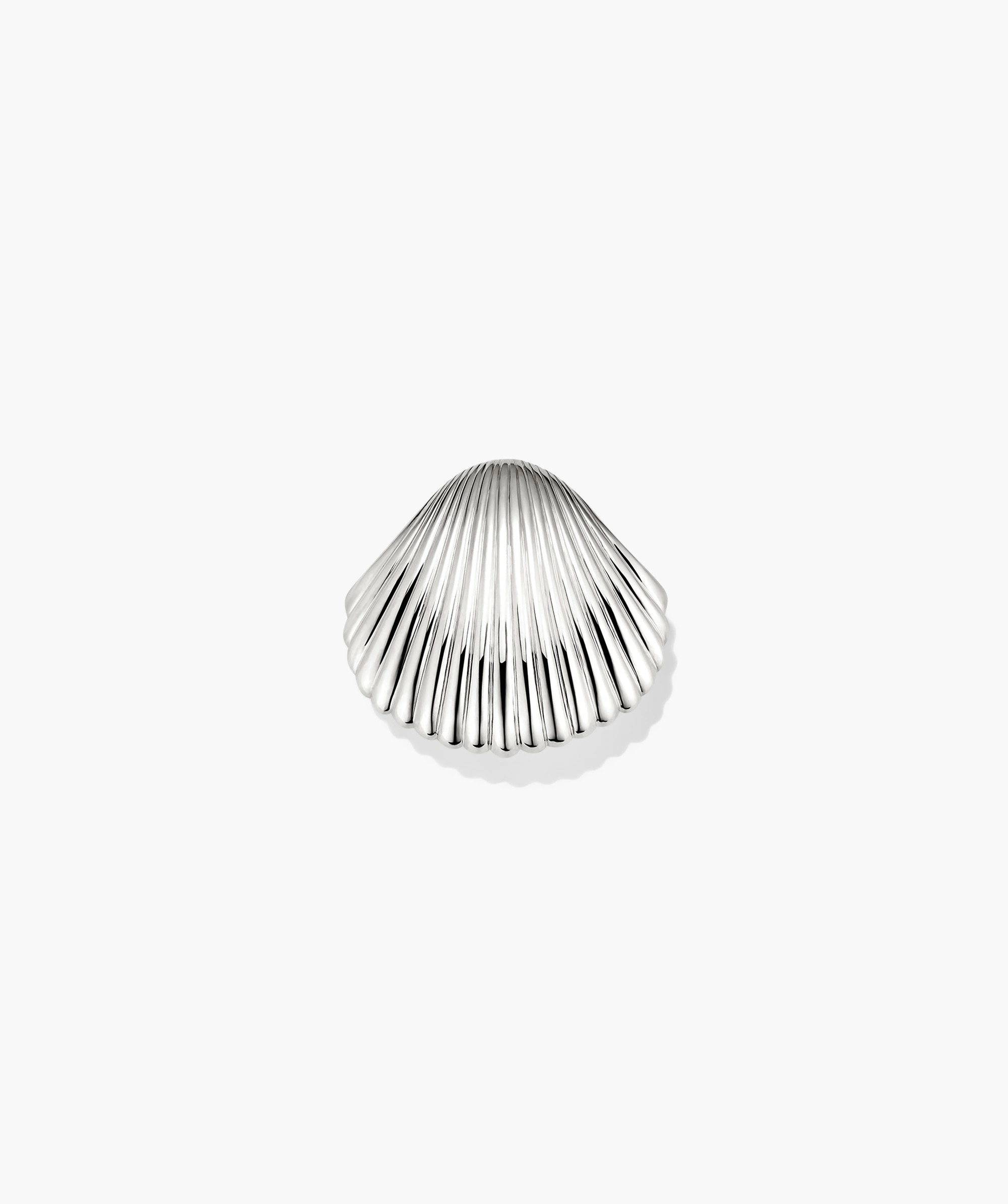 Amelia Seashell Brooch | Mejuri Fine Crew