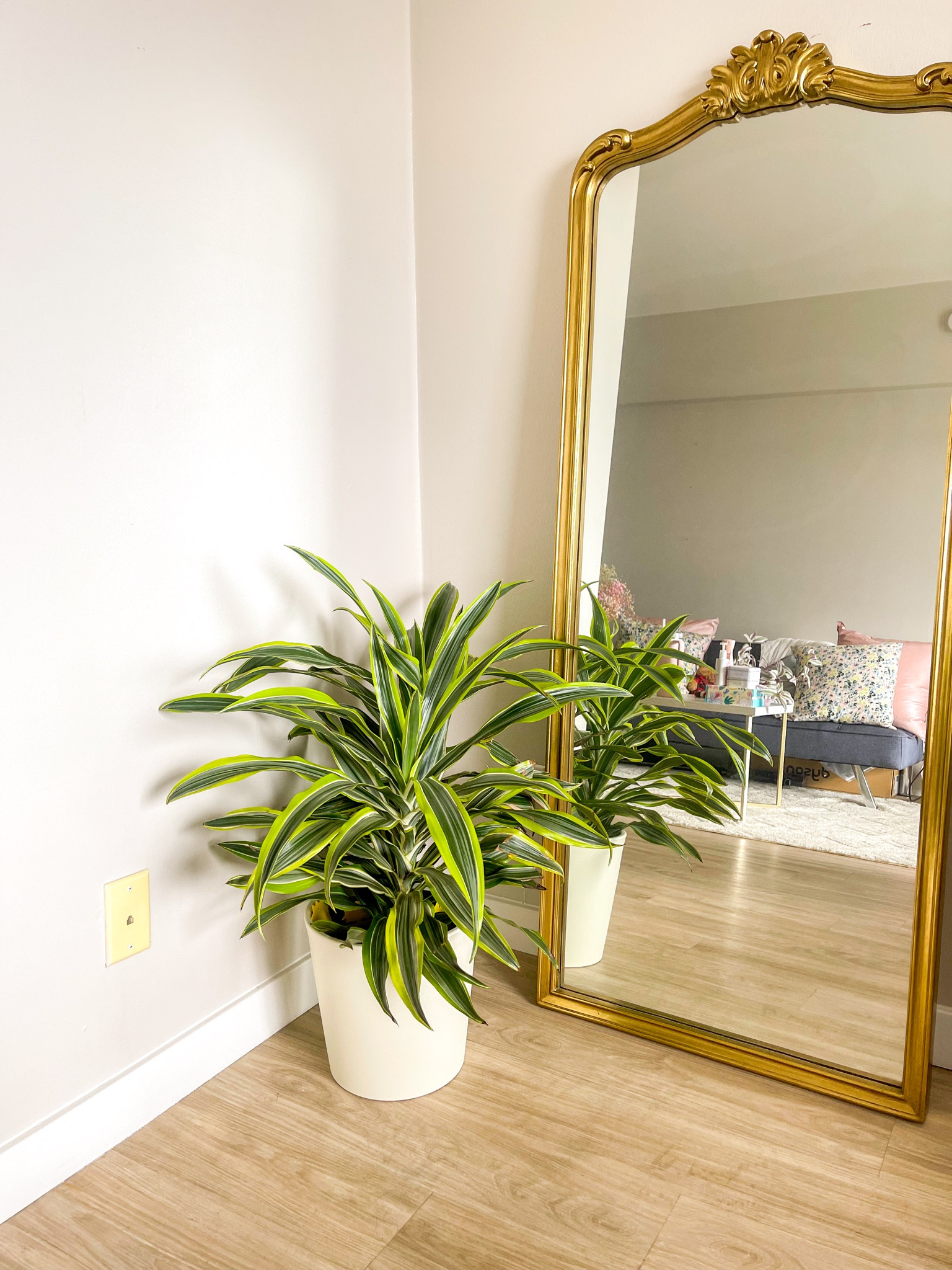 Target circle deals this week! 

Target is having huge deals, including home, gardening, and beauty. 
I picked up this 10 inch planter for just $7! Target Circle Deal: Save 30% on select garden items, the 30% off is Auto-applied and Expires March 29. 
This is the 10.6 inch size in color sour cream. Also comes in a espresso brown color. 

As a newer plant parent I had no idea how expensive planters and decorative pots are and just kept my plants in their nursery pot as I could never find a planter I liked that didn’t cost over $60. With spring on route target had had so many cute gardening items. Get this beauty for under $10 and comes in 4 different sizes, up to a 12 inch planter. Offer ends soon! 

 

#LTKHome #LTKFindsUnder50 #LTKSaleAlert