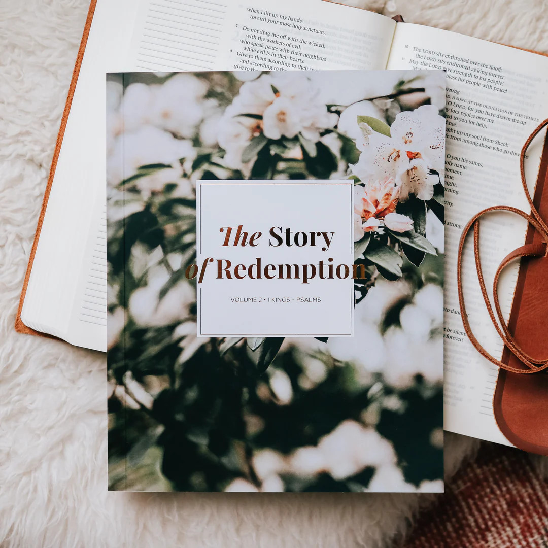 The Story of Redemption | Vol. 2 | The Daily Grace Co.