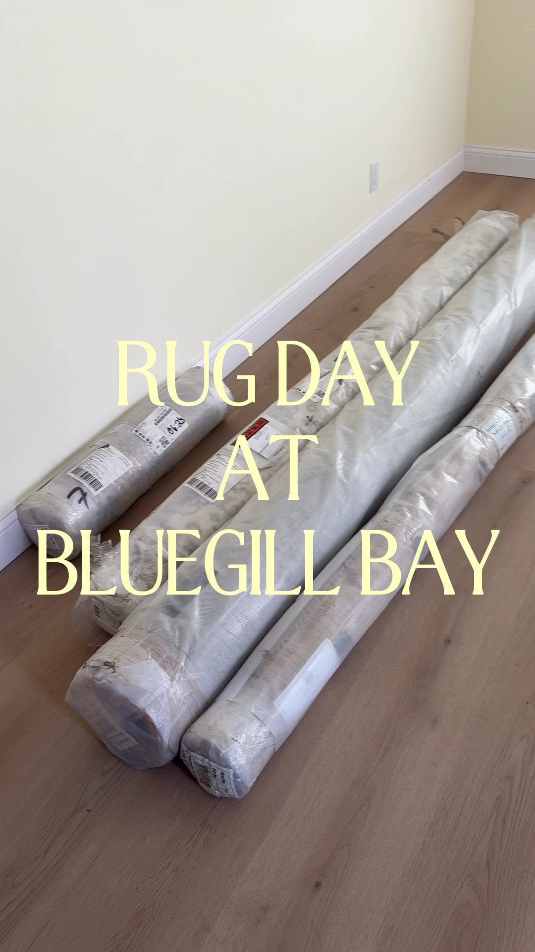 We’ve selected beautiful Momeni rugs from @Wayfair for our lakehouse, Bluegill Bay🐟 I’m sharing all the rugs we put in multiple spaces that are all high quality, stunning pieces!  #rugs #homedecor #wayfair #momeni

#LTKHome