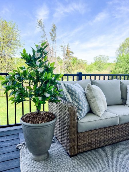 New patio tree! Linked the riser I used to elevate it! 

#LTKHome