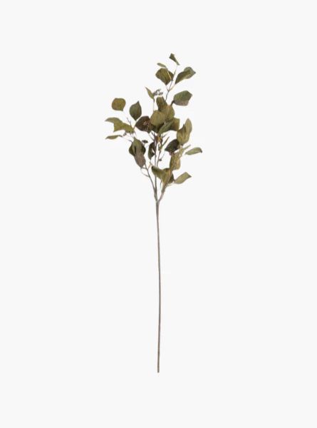 Cork Textured Silver Dollar Eucalyptus Stem | The Style Edit Collective