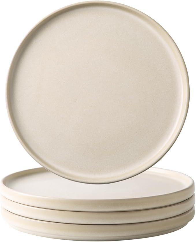 AmorArc Ceramic Dinner Salad Plates Set of 4, 8.0 Inch Reactive Matte Glaze Dish Set, Dessert,Sal... | Amazon (US)