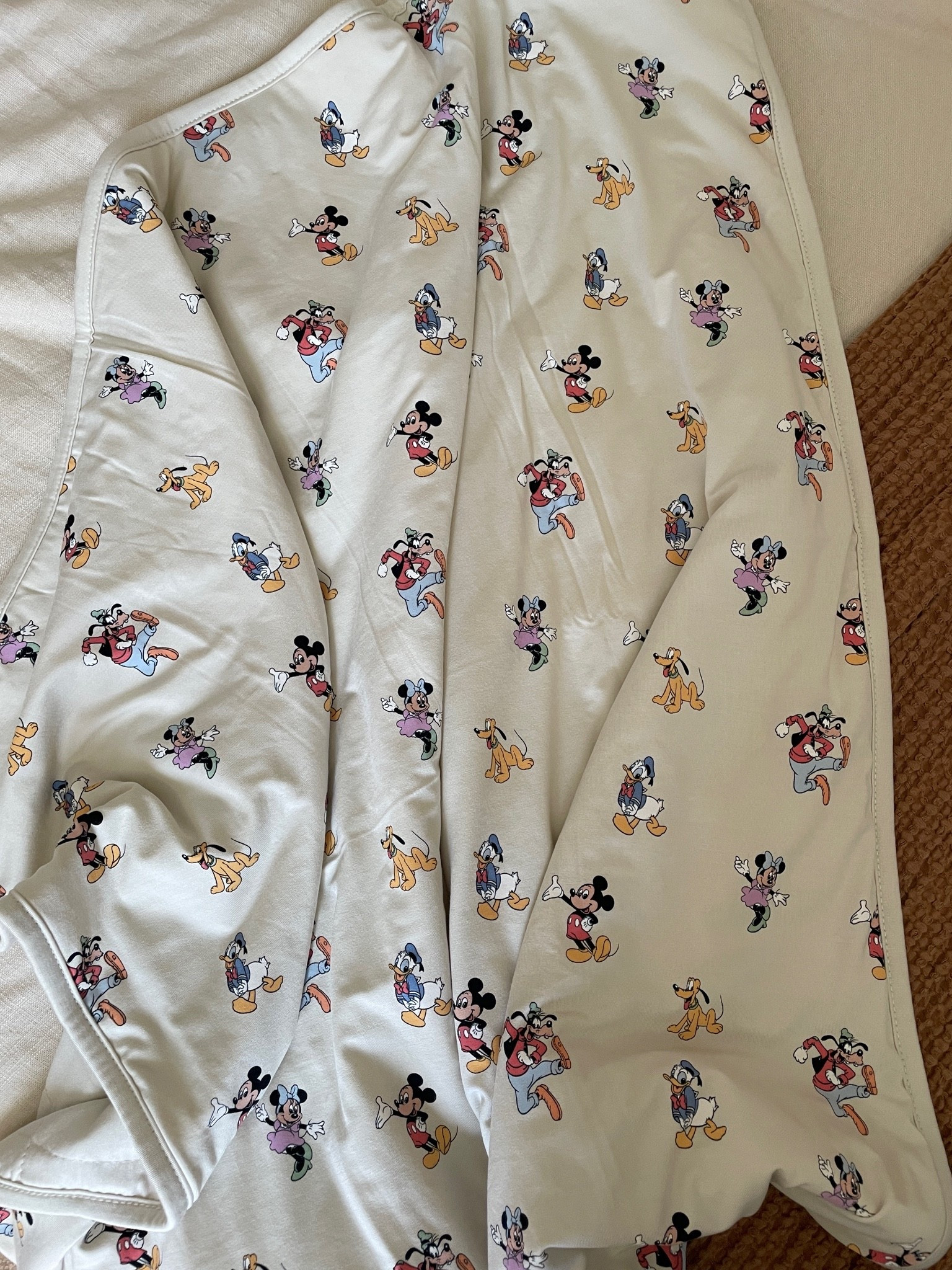 Cutest Disney baby blanket

#LTKBaby #LTKTravel