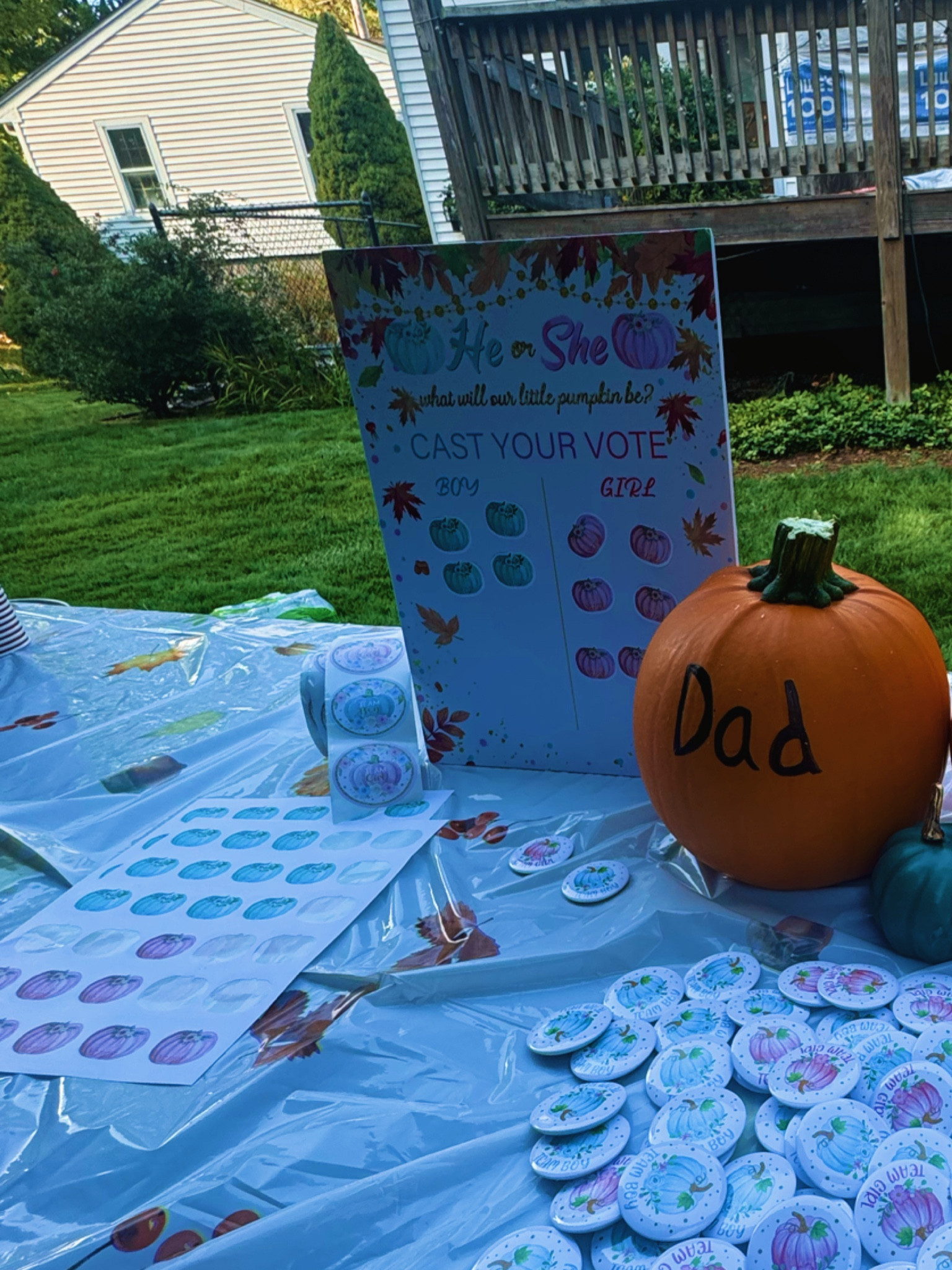 Gender Reveal pumpkin theme cast your votes and extra stickers 

#LTKParties #LTKHalloween #LTKBump