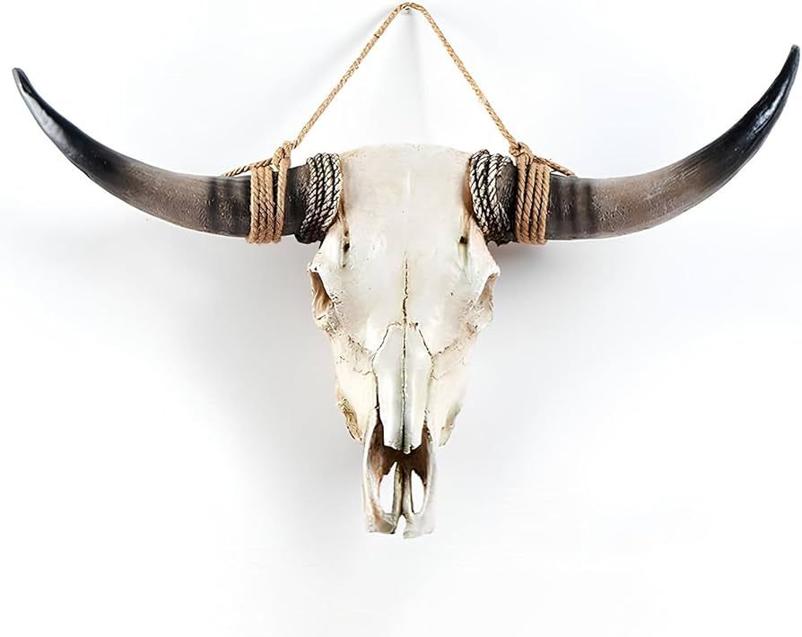 Cow Skull Wall Decor, Longhorn Wall Decor, Long Horn Cow Skull Wall Hanging, Bull Horns Skull - L... | Amazon (US)