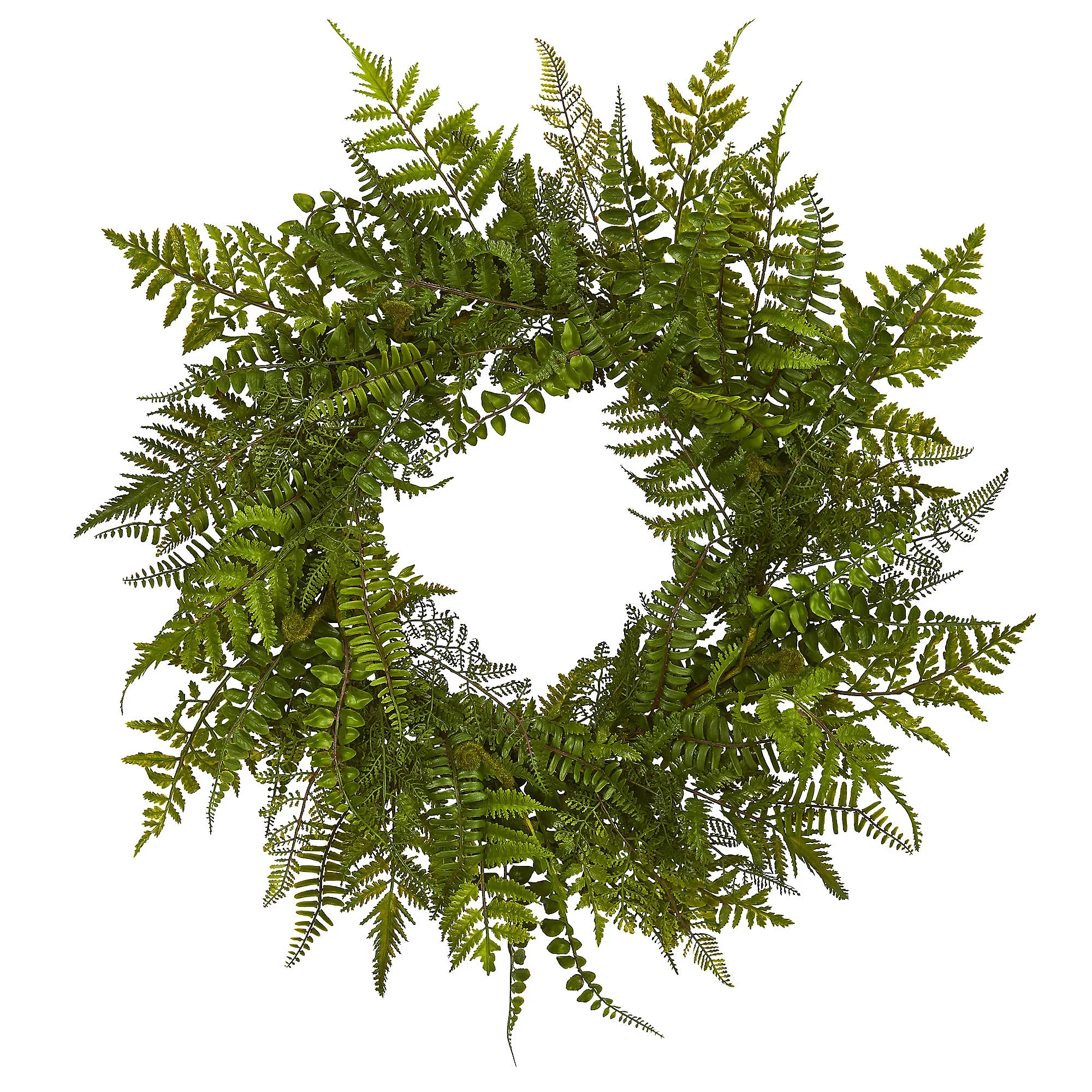 24"" Mixed Fern Wreath by Nearly Natural | QVC