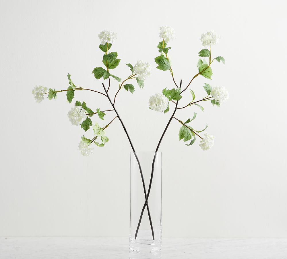 Faux White Viburnum Branch | Pottery Barn (US)