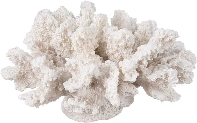 Nautical Crush Trading Decorative Sea Coral - 4in x 3.5in x 2.5in - Small White Coral for Beachy ... | Amazon (US)