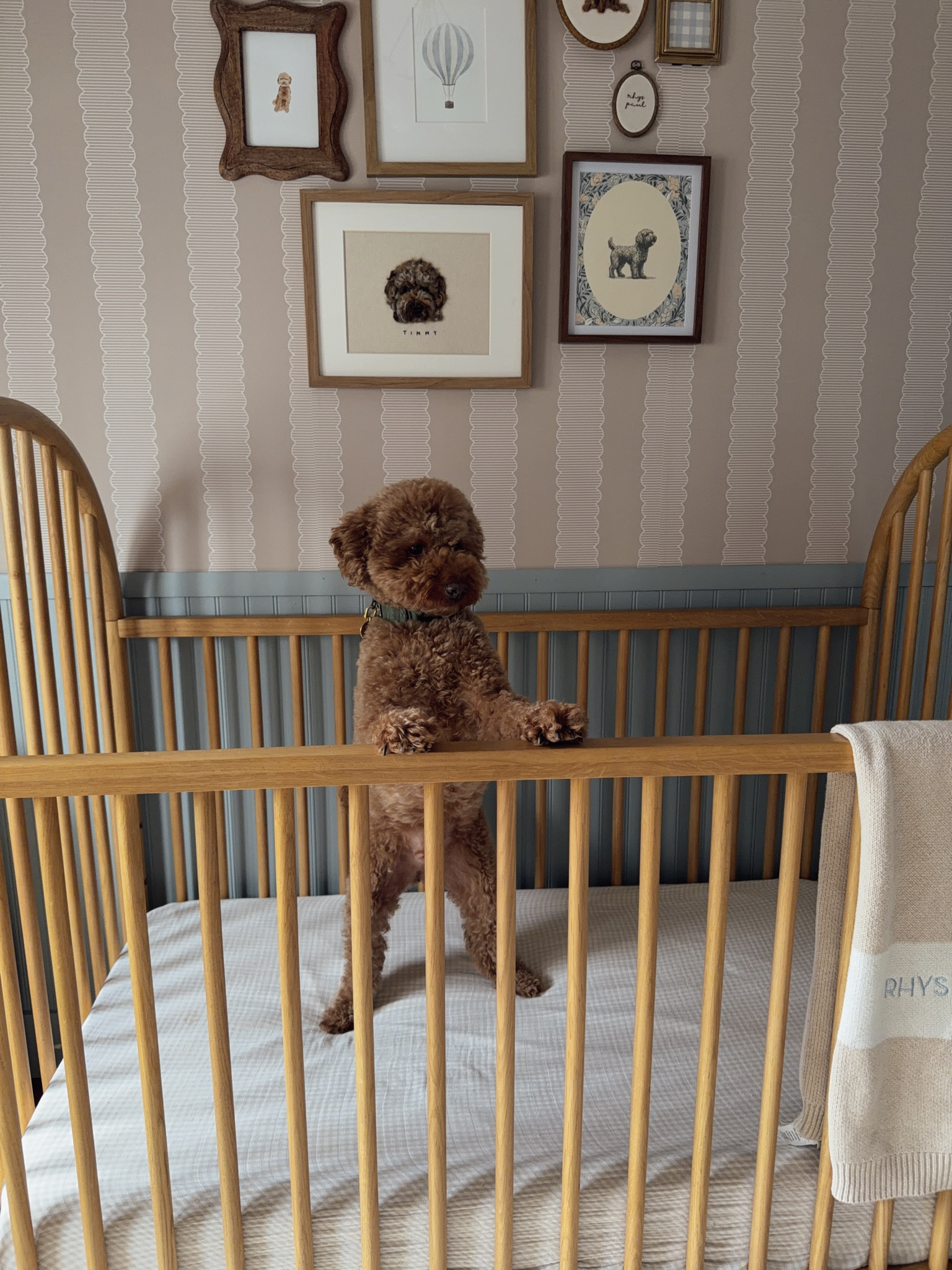 Baby boy room, baby boy nursery 

#LTKHome #LTKBaby