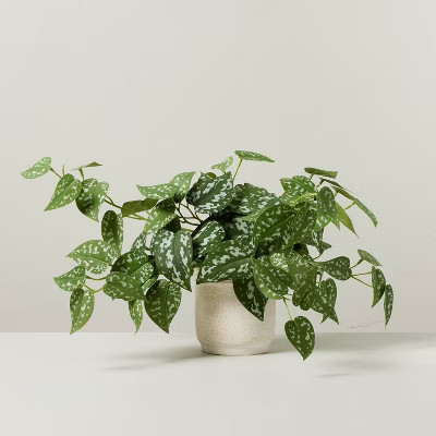 10" Faux Satin Variegated Pothos Plant - Hearth & Hand™ with Magnolia: Indoor Decorative Artifi... | Target
