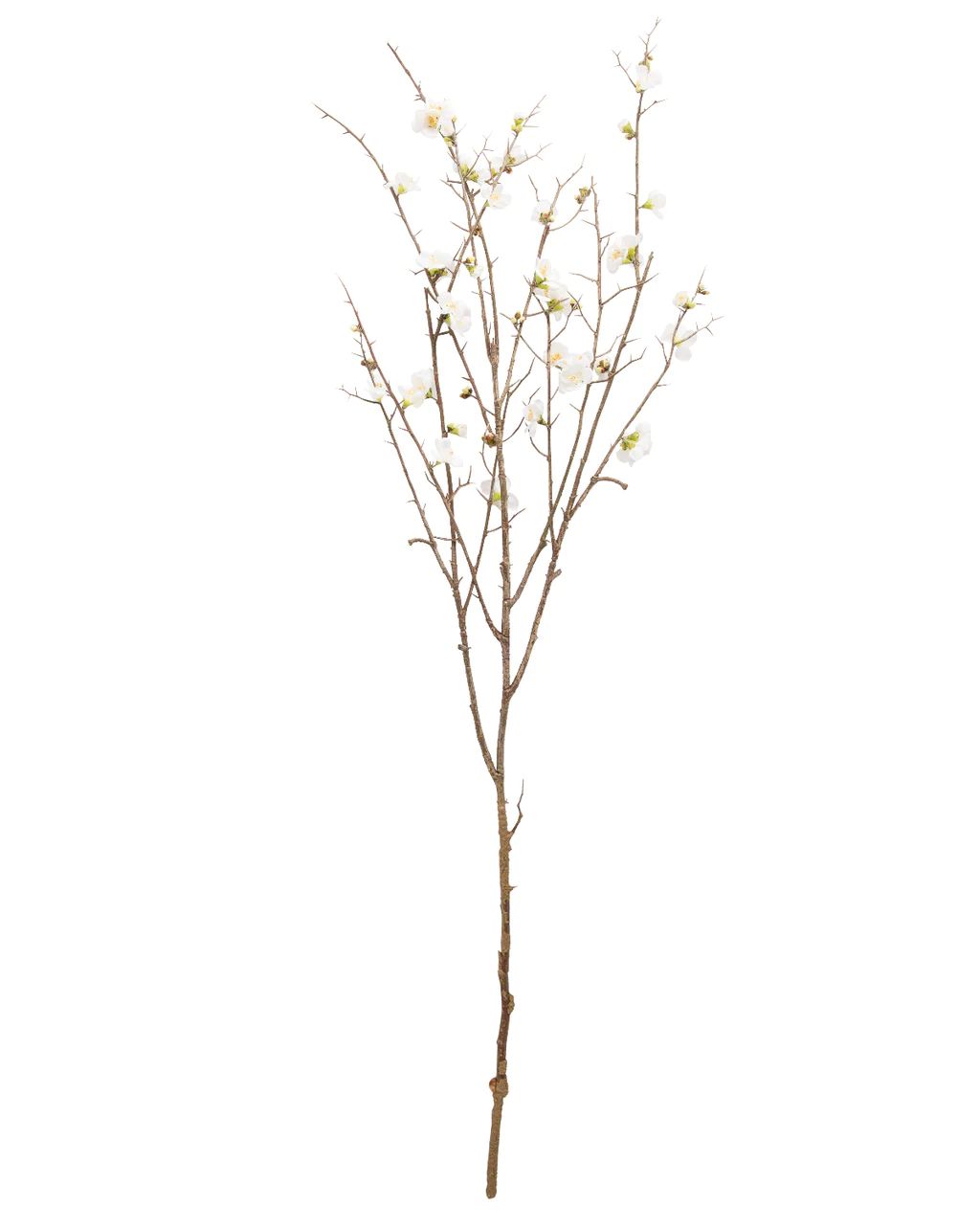 Faux Quince Blossom Stem | McGee & Co.
