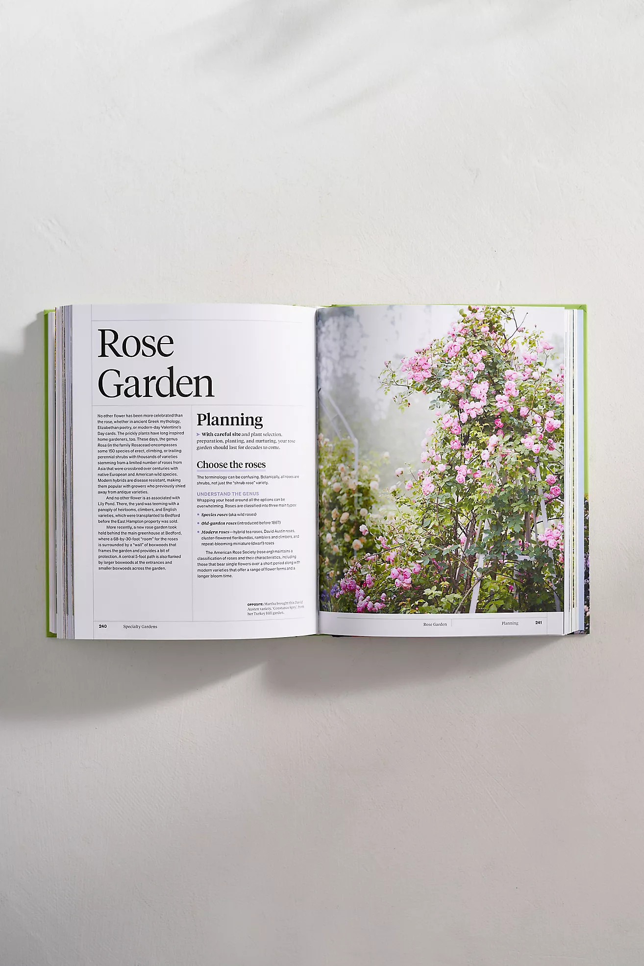 Martha Stewart’s Gardening Handbook | Terrain