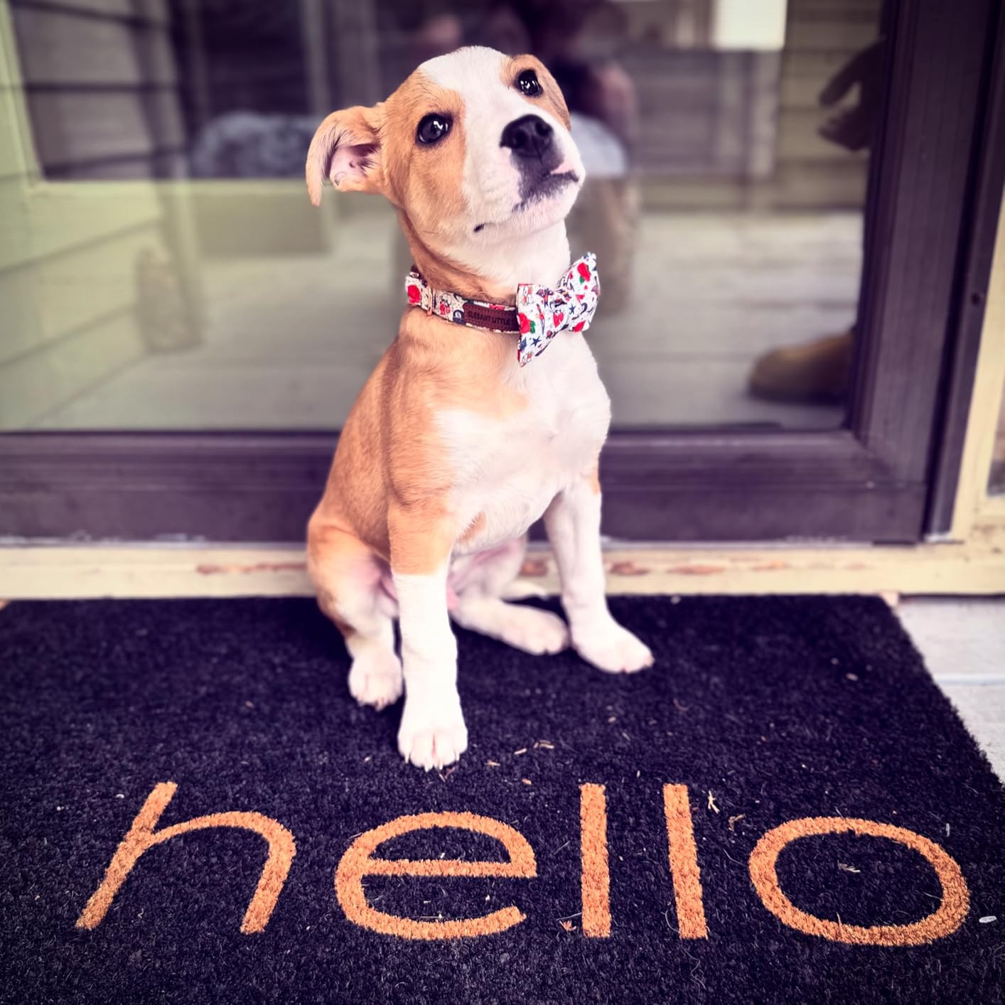 Elegant Little Tail American Flag Bowtie Dog Collar, Medium, Red, White, and Blue, Cotton, Celebr... | Amazon (US)