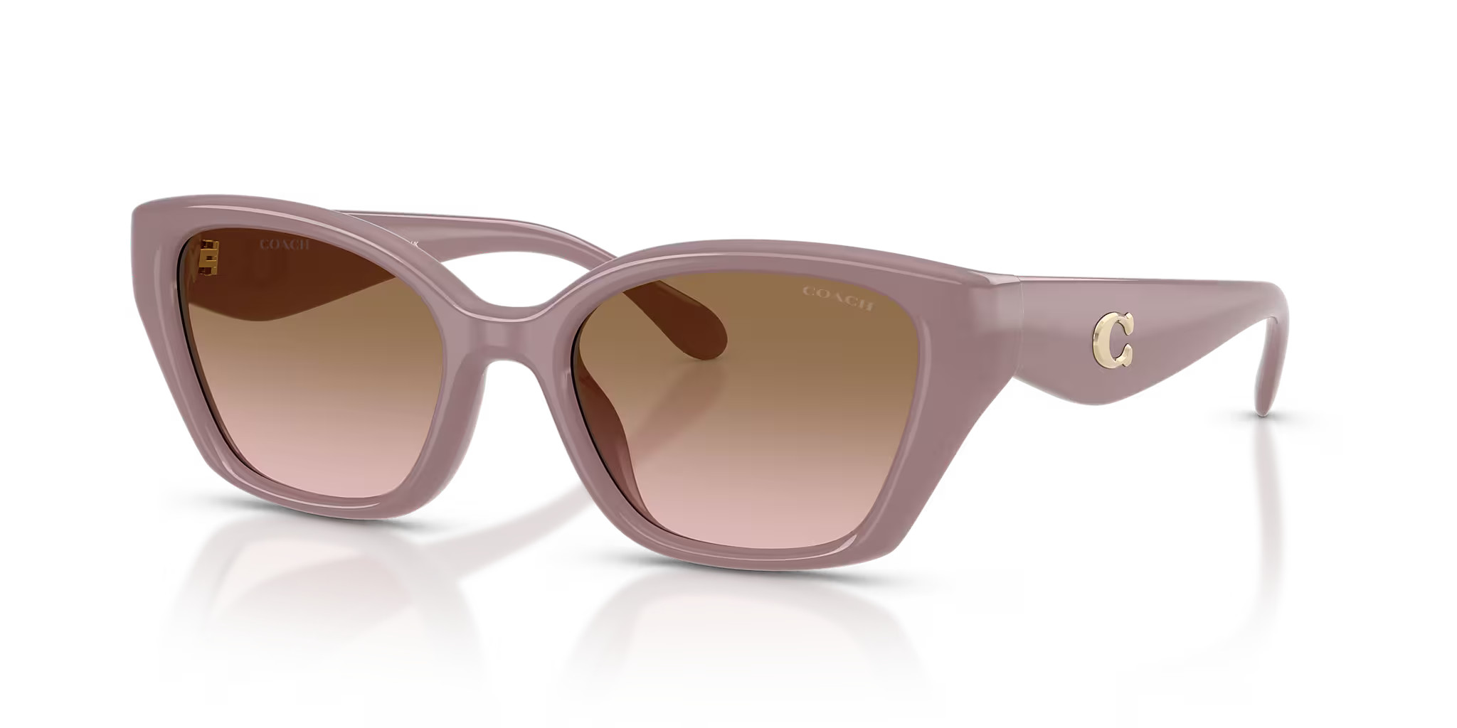 Coach | Sunglass Hut (US)