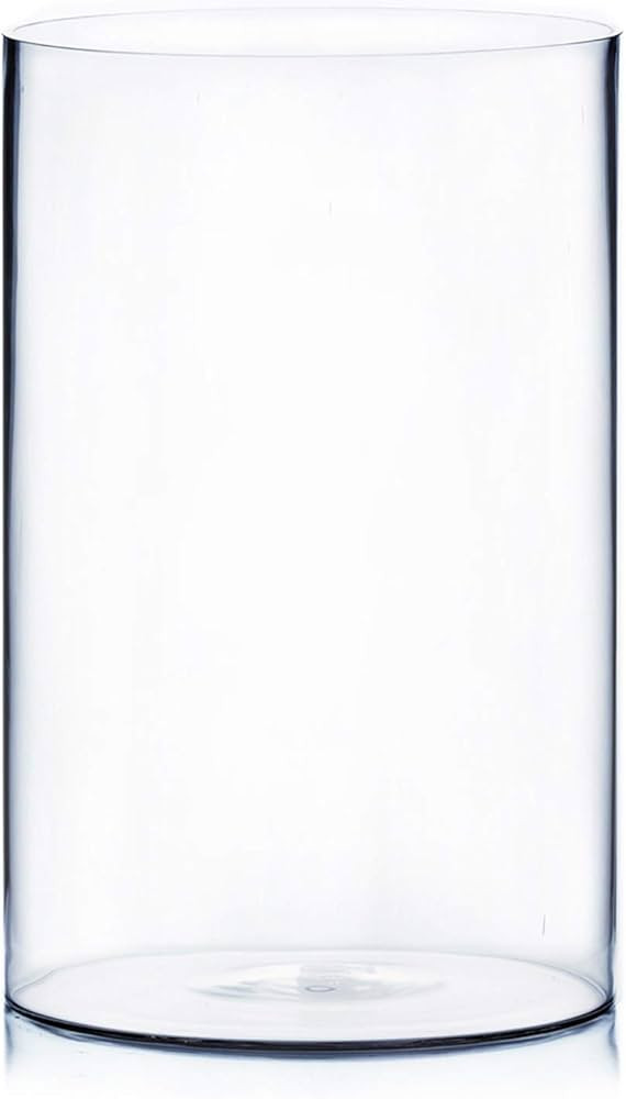 WGV Cylinder Vase, Width 10", Height 16", Clear Wide Large Diameter Flower Glassware, Floral Cont... | Amazon (US)