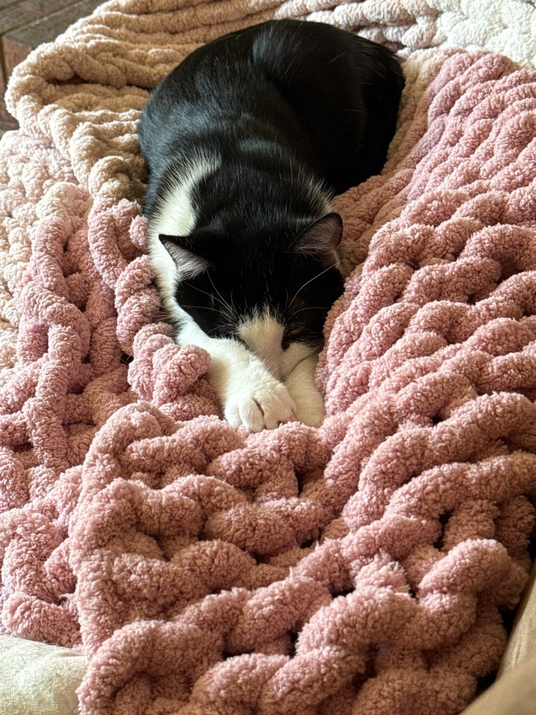 Lola loves my super chunky knit throw blanket and so do I!  It's so cozy!  

#throwblanket #cozy #blanket  

 #LTKdayinmylife #LTKselfcare #LTKHome