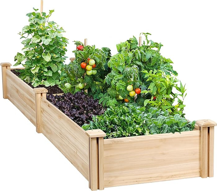 Yaheetech 8×2ft Wooden Horticulture Raised Garden Bed Divisible Elevated Planting Planter Box fo... | Amazon (US)