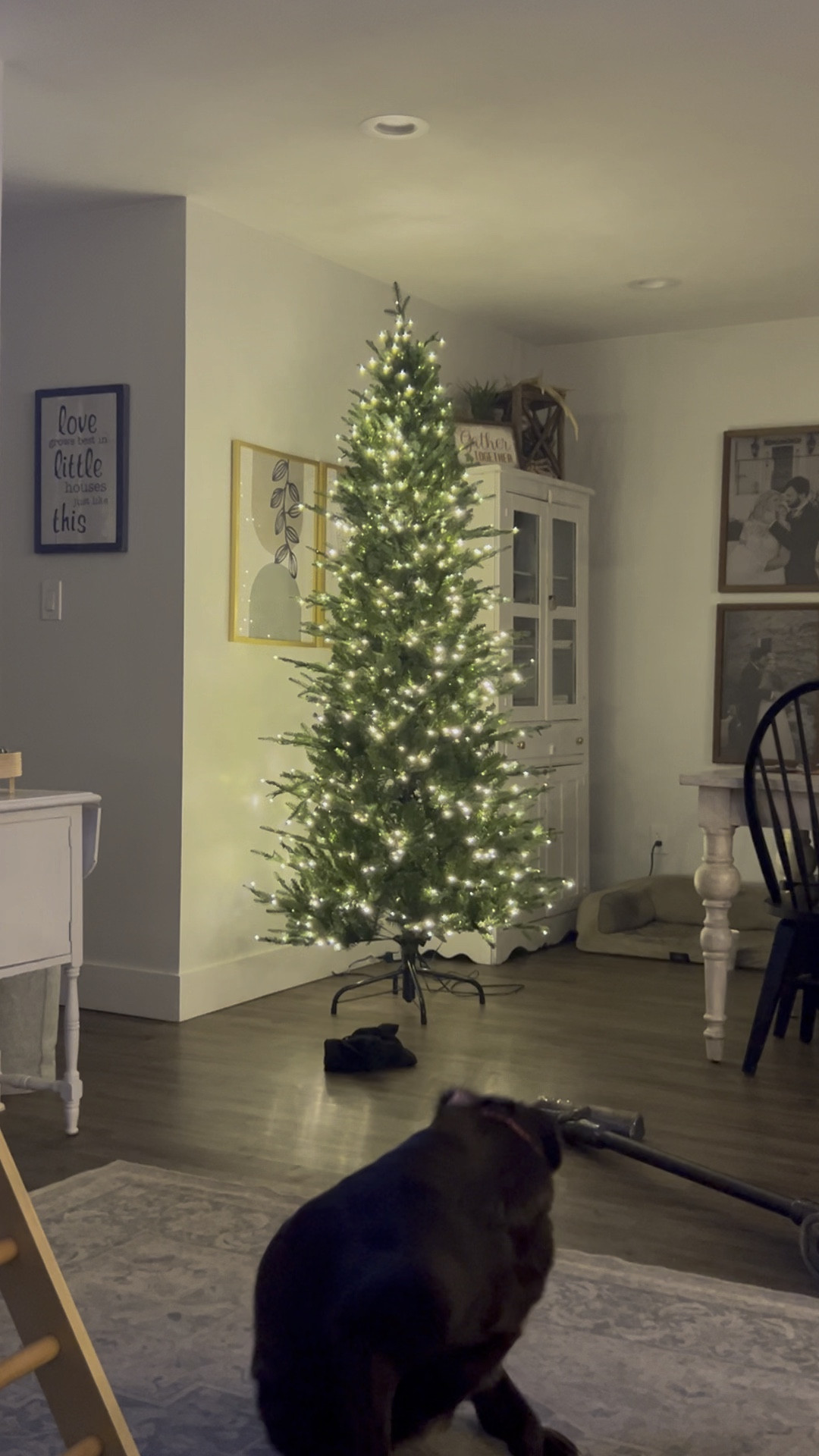 Home Depot tree>>> 

#LTKHome #LTKHoliday #LTKSeasonal