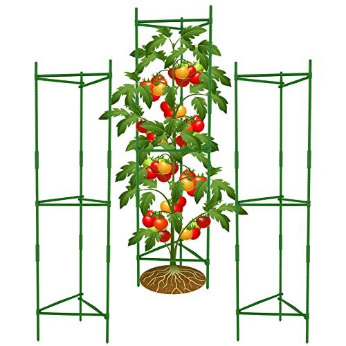 3Pack Tomato Cages,Up to 51inch Plant Stakes Vegetable Trellis Assembled for Garden Climbing Plants  | Amazon (US)