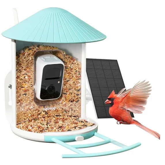 Smart Bird Feeder with Camera, Netvue Birdfy Bird Feeders Camera with AI (by Subscription) for Bi... | Walmart (US)