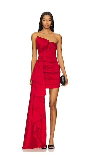 Jasmeet Mini Dress in Dark Red | Revolve Clothing (Global)