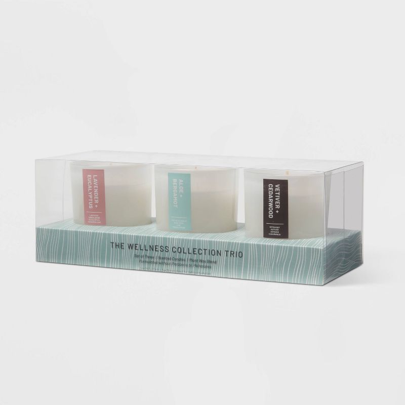 15oz 3pk Milky White Candle Gift Set - Project 62™ | Target
