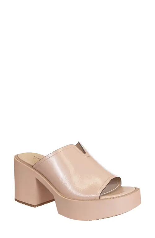 Naked Feet Freja Block Heel Mule in Rosette at Nordstrom, Size 10 | Nordstrom