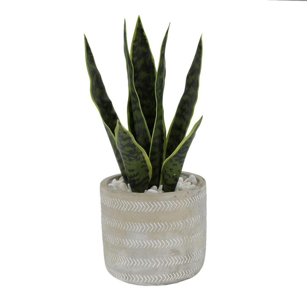 Flora Bunda 12 in. Snake Plant in 4.75 in. Arrow Cement Planter | The Home Depot