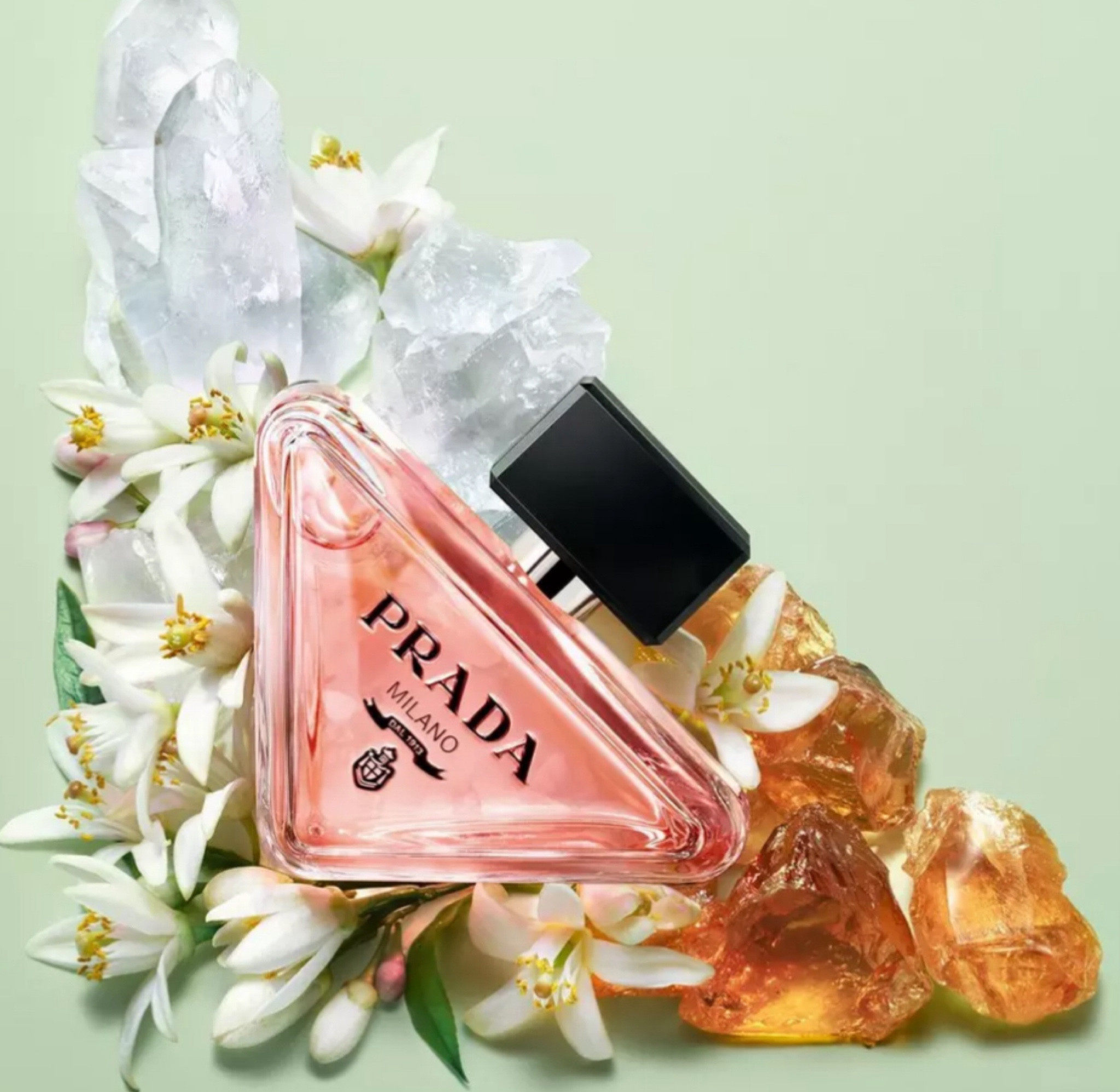 My current go to perfume. I get compliments everywhere I go when I wear this🫶🏻

#LTKGiftGuide #LTKbeauty #LTKSeasonal