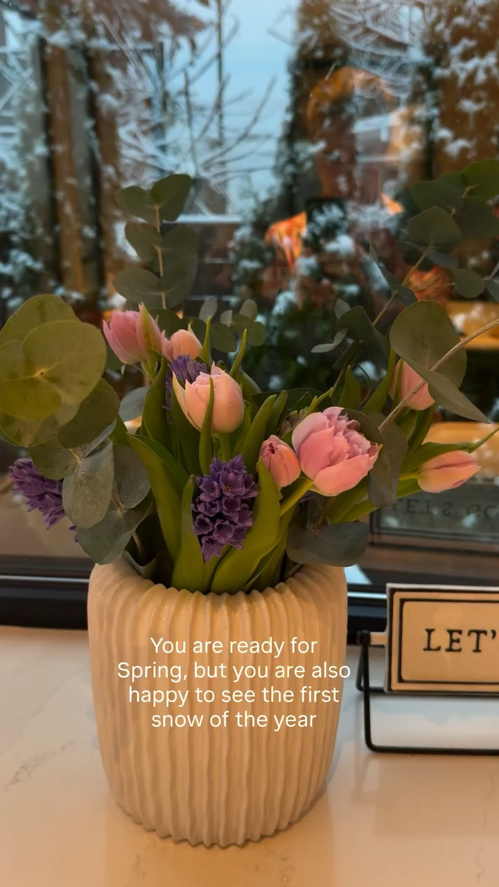 Can’t decide what am I more excited about 😂💖🌸❄️

ll my favorite vases linked 🙌

#march #snow #spring #winter #homedecor

#LTKSeasonal #LTKmomlife #LTKHome