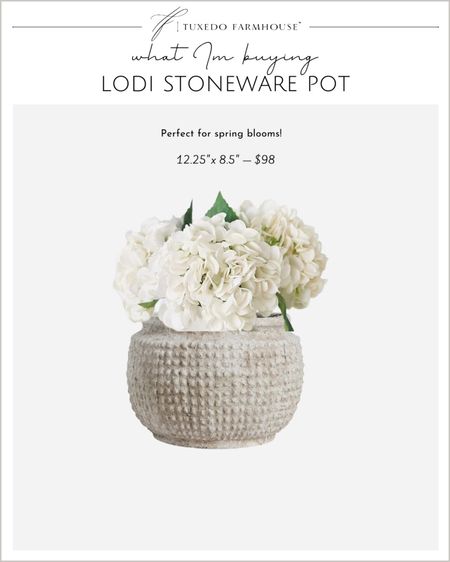 My favorite purchase this week for my spring home. 

Lodi stoneware pot, neutral planter, pottery vase, home decor, spring decor  

#LTKFind #LTKSeasonal #LTKhome
