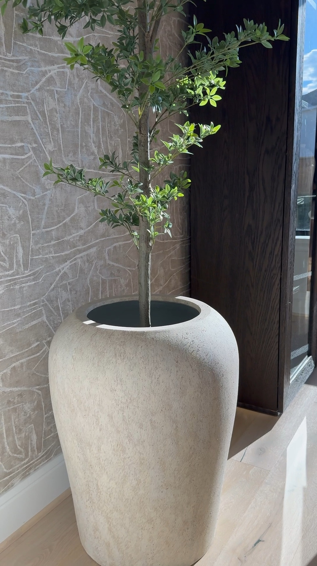 I am absolutely loving this planter from Pottery Barn! It's gorgeous, and the best part is that it's so versatile - it works perfectly for both bigger trees and smaller ones too! 🌳 I love it so much that I actually ended up buying another one, haha! 😆 It's definitely a game-changer for decorating any space. 

#LTKSaleAlert #LTKHome #LTKVideo