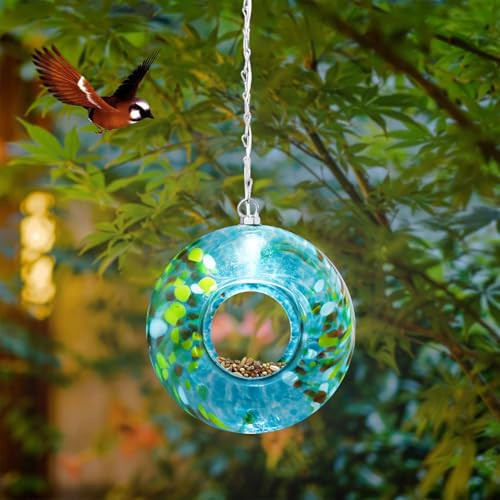 Yinns Bird Feeder - Fly Through Bird Feeders for Outside Hanging with Round Shape Glass Container, Solar Birdsfeeder for Yard Garden Decor, 8-Inch | Amazon (US)