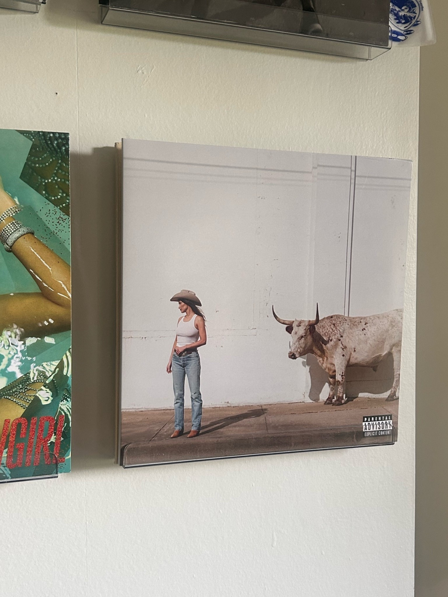 Middle of Nowhere by Kasey Musgraves -
Vinyl collection wall display

#LTKHome