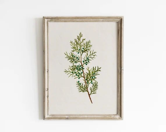 Country holiday wall decor, vintage winter botanical art print, rustic Christmas print, antique h... | Etsy (US)