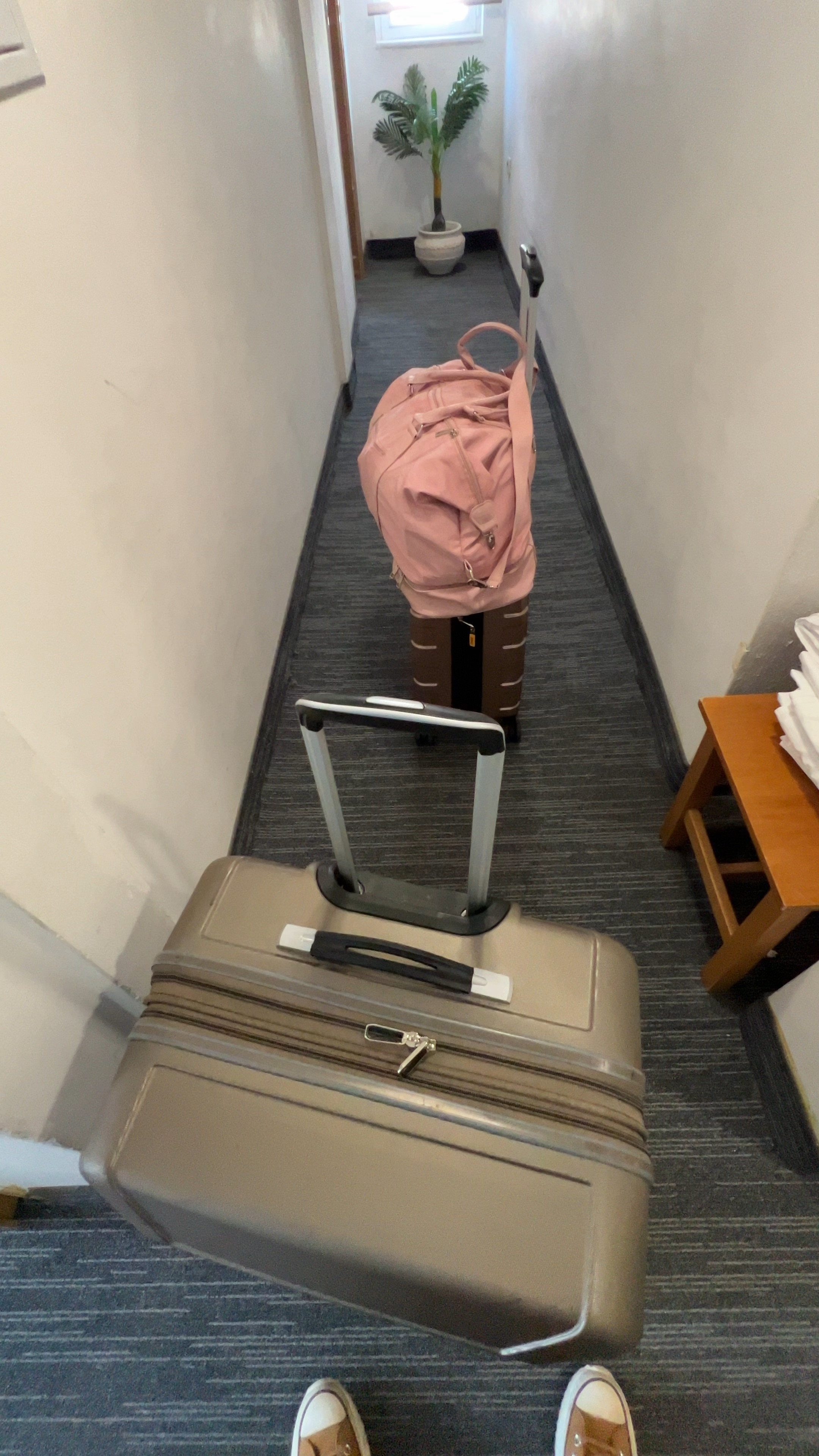 Baggage 🤝🏾 Loyalty

I trust Samsonite  🙌🏾 
last minute finds at Marshall’s 🙌🏾 
last minute travel essentials like this pink carry on from Amazon🙌🏾🧳

#LTKtravel #LTKActive #LTKstyletip