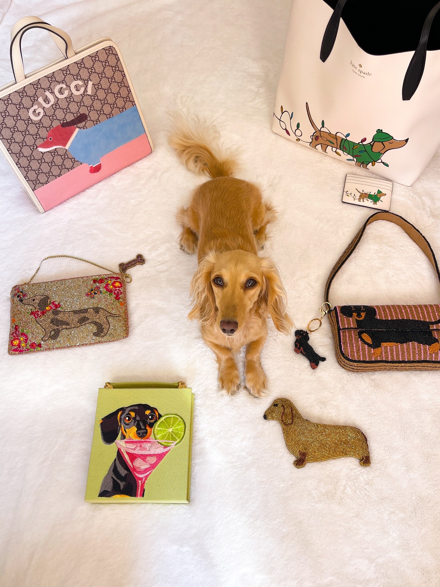 A few of my dachshund bags! Linked the ones available below (including the vintage beaded coin purse I found for an amazing price)! 

Will also include some other dachshund bags and similar options below!
.

.

.

.

(Dachshund finds, dachshund handbags, designer dachshund bags, dachshund clutch, wiener dog bag, sausage dog bag, designer dachshund purses, dachshund mom, dachshund gifts, luxury handbags, evening bag, unique bags, beaded bag, jw pei dachshund bag, jw pei clutch, jw pei bag, Mary Frances dachshund bag, Gucci dachshund tote bag, Gucci dog tote, Gucci dachshund bag, Gucci children’s print dachshund bag, Anthropologie beaded bag, Anthropologie beaded dachshund bag,, dachshund tote bag, Anthropologie dachshund finds, dog bag, dog purse, clementinethedox, The Dachshund Edit)

#LTKFindsUnder100 #LTKStyleTip #LTKItBag