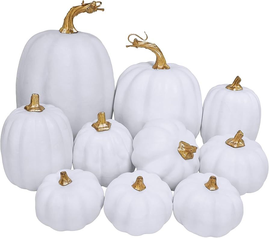 Winlyn 10 Pcs Assorted White Artificial Pumpkins Harvest White Pumpkins Decorative Pumpkins Foam ... | Amazon (US)