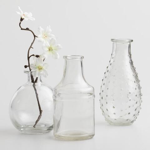 Clear Glass Bud Vases Set of 3 | World Market