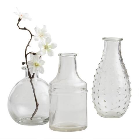 Clear Glass Bud Vases Set of 3 | World Market
