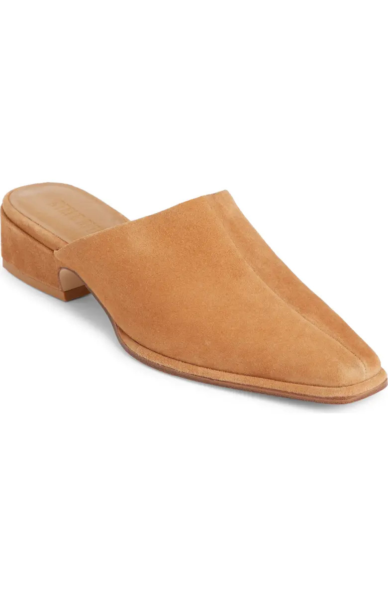 Steve Madden Dessa Mule (Women) | Nordstrom | Nordstrom